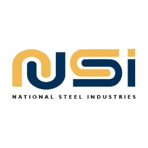 Portfolio Logo - NSI
